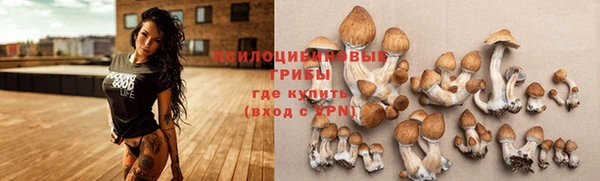 мескалин Инта