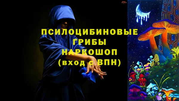 мескалин Инта